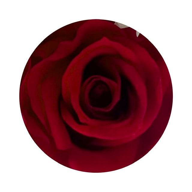 Top view of a red ForeverFloret preserved rose.